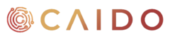Caido - Sponsor of TRIADA, India's Best CTF Team