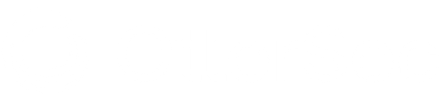 OtterSec - Sponsor of TRIADA, India's Best CTF Team