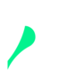 BlackPerl - Partner of TRIADA