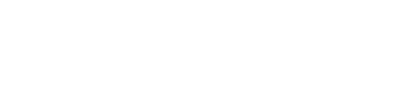OtterSec - Partner of TRIADA